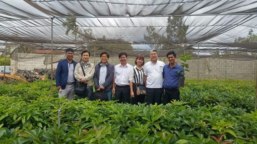 Người góp phần làm thay đổi vùng đất Tây Nguyên từ cây bơ