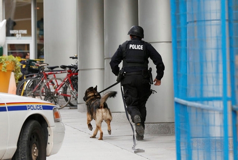 Những chuyện thú vị về chó nghiệp vụ