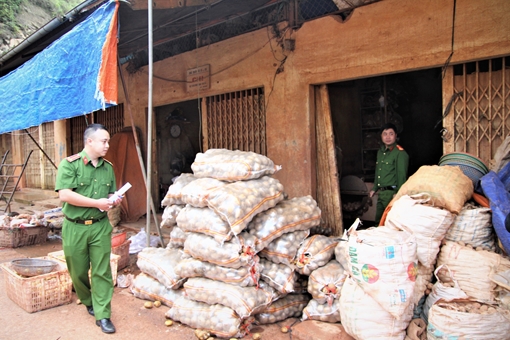 Khoai tây nhập khẩu vẫn đội lốt “hàng Đà Lạt”, vì sao?