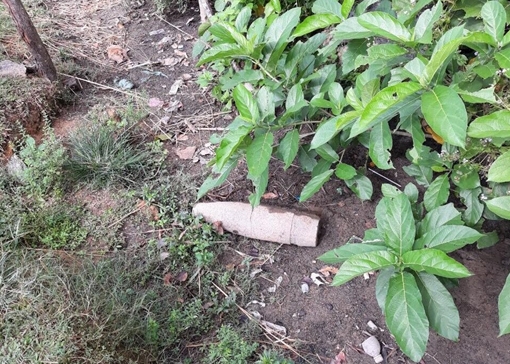 Phát hiện quả pháo dưới mương nước