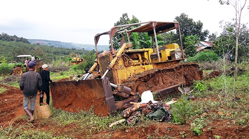 Hàng loạt sai phạm tại dự án thuê đất rừng ở Công ty Long Sơn