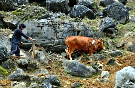 Ghi ở vùng đất cao nguyên đá