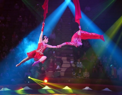 Xiếc Việt trầy trật trở mình, rụt rè hội nhập