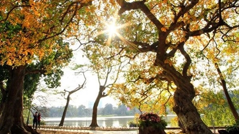 Miền Bắc đêm lạnh, ngày nắng ấm