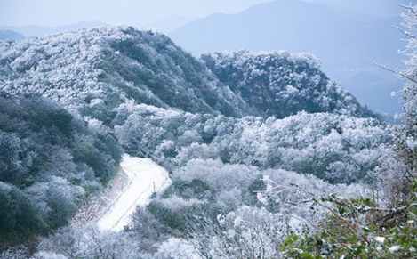 Băng tuyết phủ trắng đỉnh Phia Oắc ngày cuối năm