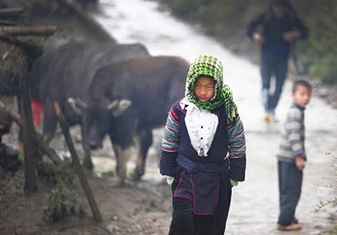 Bắc bộ tiếp tục đón rét, có nơi xuống 8 độ C