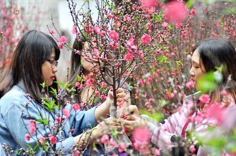 Mùng 1 Tết Kỷ Hợi, Hà Nội se lạnh trong mưa xuân