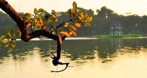 Bắc bộ sương mù về sáng, trưa chiều hửng nắng