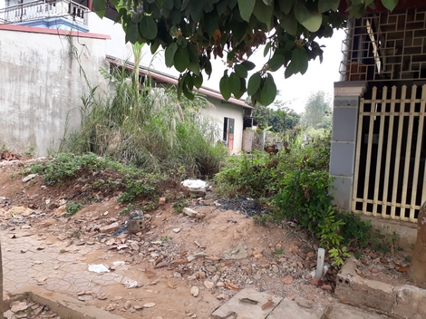 Vụ nữ sinh viên đi giao gà bị sát hại qua lời kể của người đầu tiên phát hiện thi thể