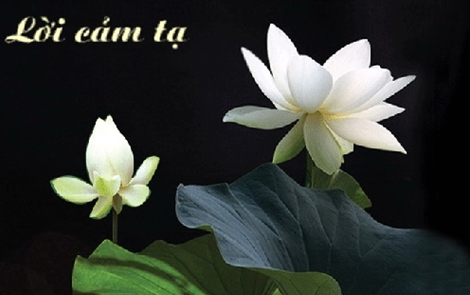 Lời cảm tạ của gia đình cụ Chu Thị Tý