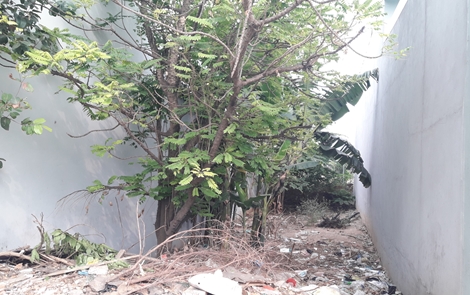 Xung quanh "kỳ án" trộm vịt