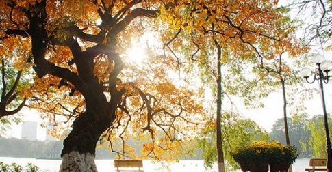 Bắc bộ sáng sớm se lạnh, trưa chiều hửng nắng