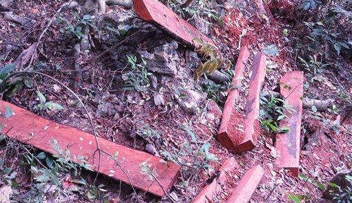  Cần làm rõ trách nhiệm của cơ quan quản lý