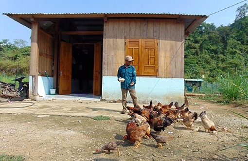 Cuộc sống mới ở làng thanh niên Thạnh Mỹ