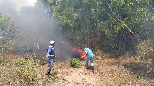 Công viên nghĩa trang Vạn Phước Viên lại xảy ra cháy