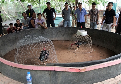 Triệt phá tổ chức đánh bạc và cho vay lãi nặng