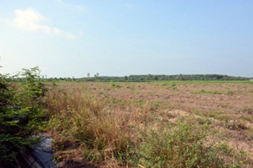 Cần hiểu đúng bản chất dự án một liên kết hợp tác của Trại giam Xuyên Mộc