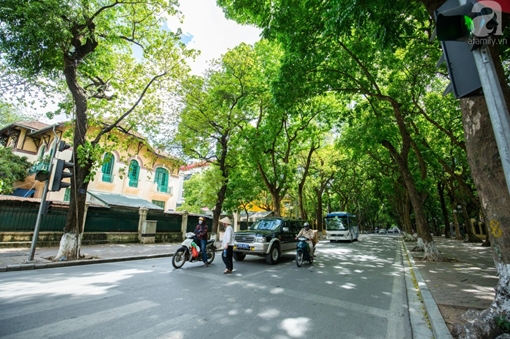 Bắc bộ giảm mưa giông, trời mát mẻ 