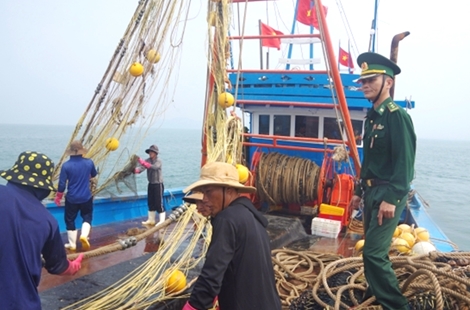 Ngăn chặn tàu giã cào đánh bắt vùng biển gần bờ