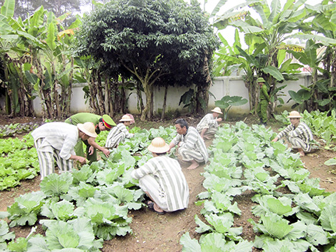 Đắng lòng gã buôn người nhìn vợ bế con đi lấy chồng