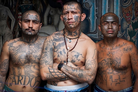 MS - 13, băng đảng tội phạm đe dọa an ninh nước Mỹ