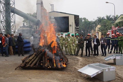 Biến tiêu hủy ngà voi trở thành thông lệ tại Việt Nam