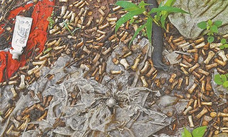 Hơn 2.000 đốt xương người bị vứt ở bãi rác