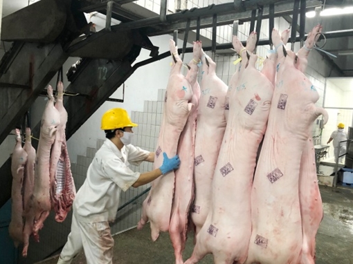 Cân đối cung - cầu mặt hàng thịt lợn cho thị trường Tết 2020