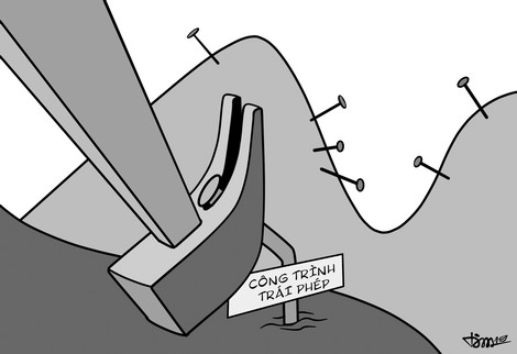 Phỏng vấn một con ngựa