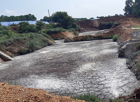 Trại gà “bức tử” môi trường bị xử phạt hơn 400 triệu đồng