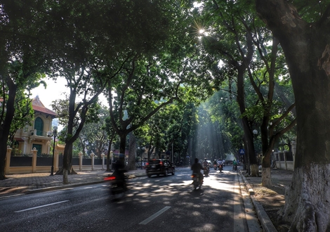 Bắc bộ lạnh về đêm và sáng sớm, ngày nắng hanh khô