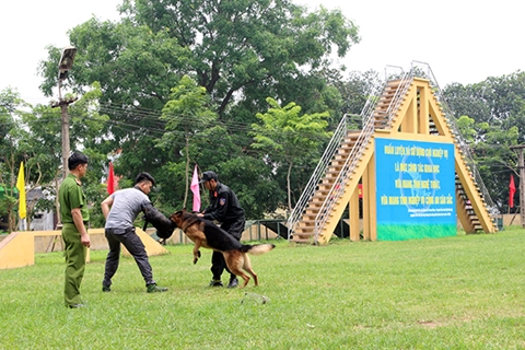 Đổi mới ở lò luyện cảnh khuyển