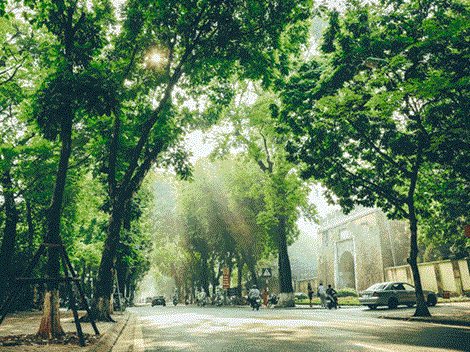 Hà Nội nắng ấm, không khí chạm ngưỡng xấu