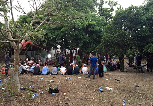 Phá tụ điểm đá gà ăn tiền có quy mô lớn ở Long An