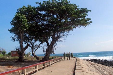 Sức sống trên đảo tiền tiêu