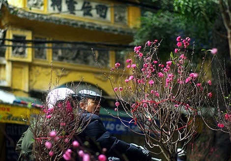 Tiễn ông Công ông Táo về trời, miền Bắc chuyển mưa rét