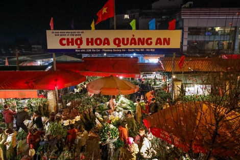 Nửa đêm, chợ hoa Quảng An vẫn nhộn nhịp phục vụ người dân dịp Tết
