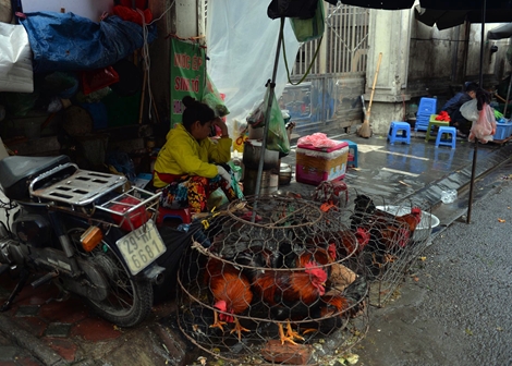 Chiều 30 Tết, dịch vụ thịt gà bỗng ế ẩm