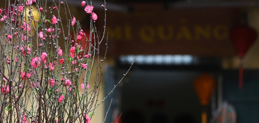 Mùng 1 Tết, miền Bắc đón năm mới trong mưa rét, miền Nam nắng ấm