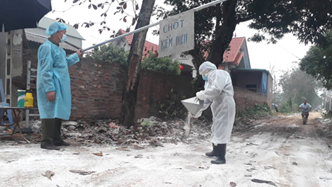 Cấm bán tháo gia cầm ở vùng dịch