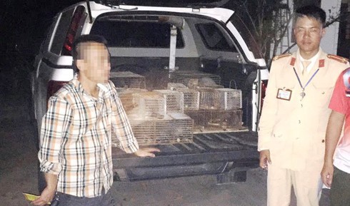 Nửa đêm "chở" 60 con dúi đi tiêu thụ thì bị phát hiện