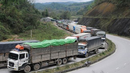 Xuất khẩu nông sản sang Trung Quốc dần trở lại bình thường