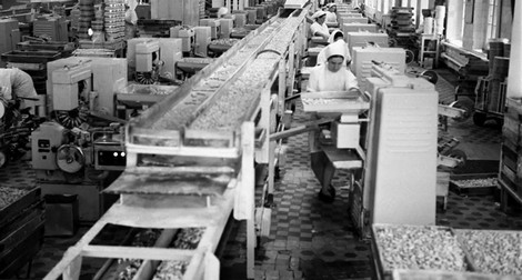 Nhà máy sô cô la “Tháng Mười Đỏ” trong chiến tranh Vệ quốc