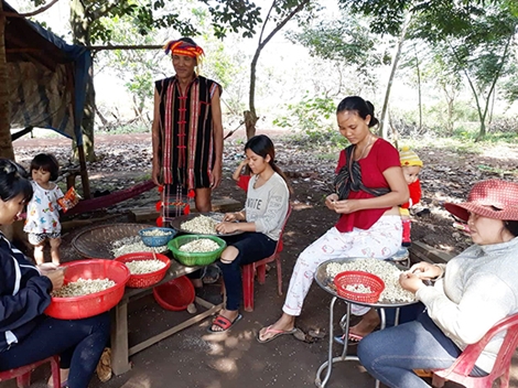 Già Điểu Va giúp đồng bào thoát cảnh bán điều non