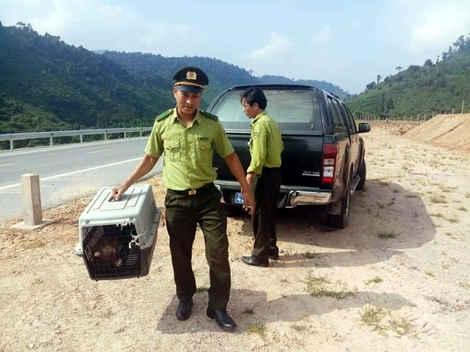 Ngăn chặn tình trạng buôn bán động vật hoang dã trên Internet