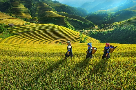 Bắc Bộ nắng nóng giảm nhiệt, chiều tối đổ mưa giông