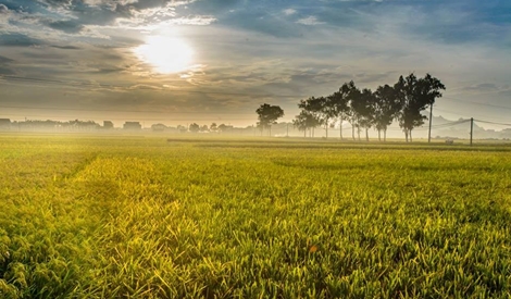 Nắng nóng tiếp diễn ở Bắc Bộ và Trung Bộ