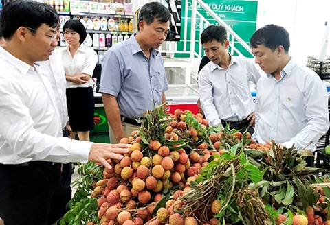 Cơ hội, thách thức của doanh nghiệp khi tiếp cận Hiệp định EVFTA