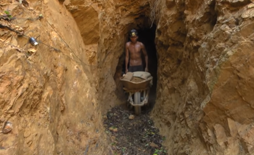 Chuyện của những người trở về từ bãi vàng