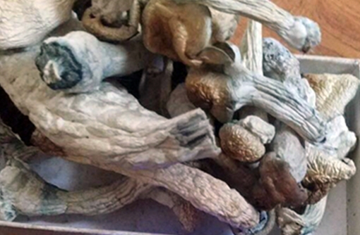 Nhận diện một số dạng ma túy mới xuất hiện tại Hà Nội